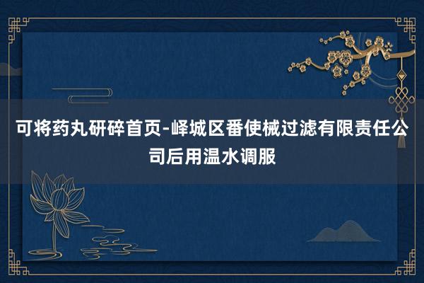 可将药丸研碎首页-峄城区番使械过滤有限责任公司后用温水调服