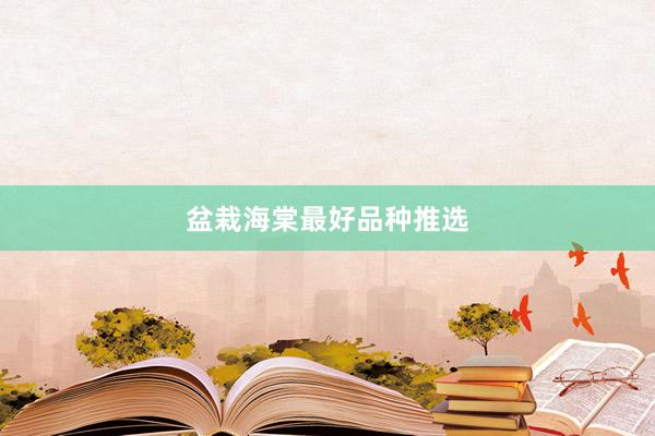 盆栽海棠最好品种推选