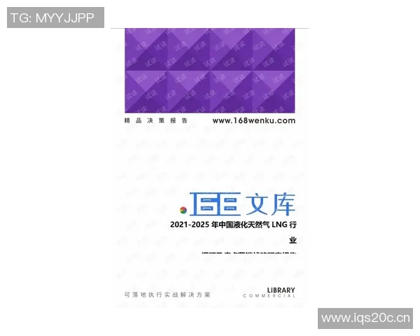 深入分析LNG行业运营策略与市场动态的全景解读